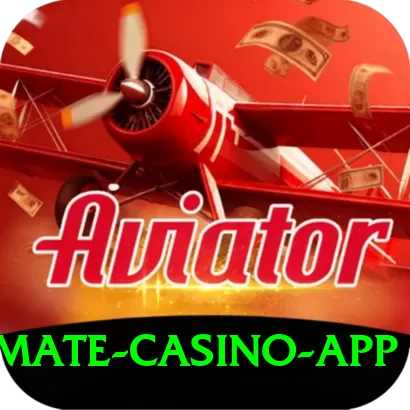 Cricket Betting Pakistan Ultimate Casino App - 2