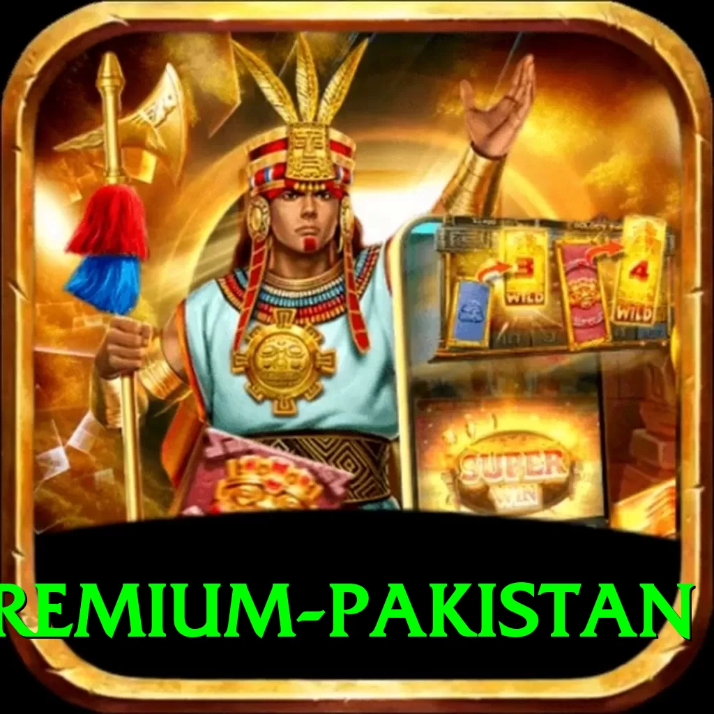 Lucky 101 Game Premium Pakistan - 2
